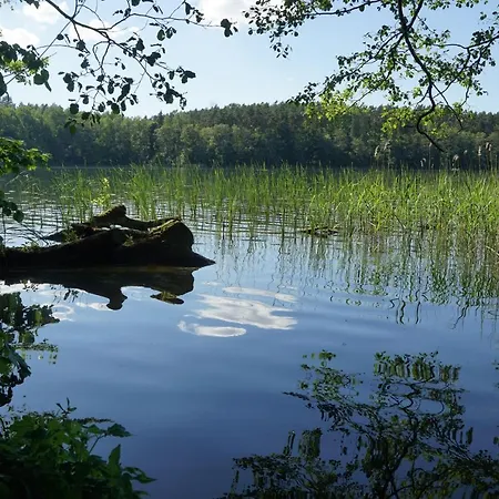 Zagroda “ Lesny Sad” *