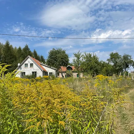 Zagroda “ Lesny Sad” Holiday home *