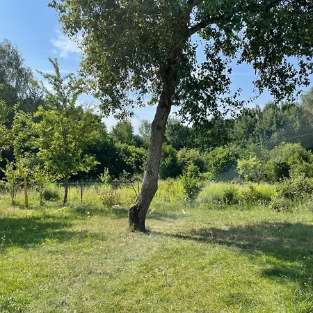 山林小屋 Zagroda “ Lesny Sad” Bronikowo