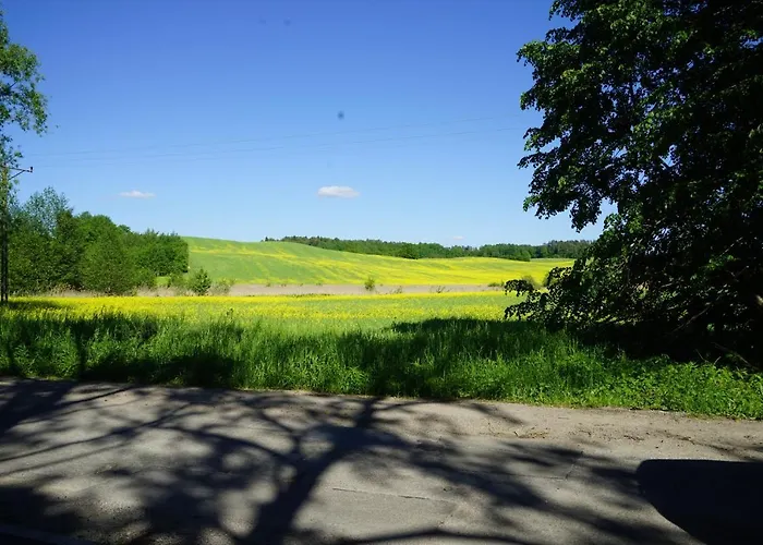 Zagroda “ Lesny Sad” * Bronikowo