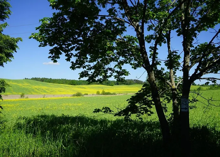 Zagroda “ Lesny Sad” 롯지